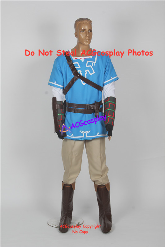 Wild Link Cosplay Costume acgc - đánh giá và giá Anime Cosplay Link