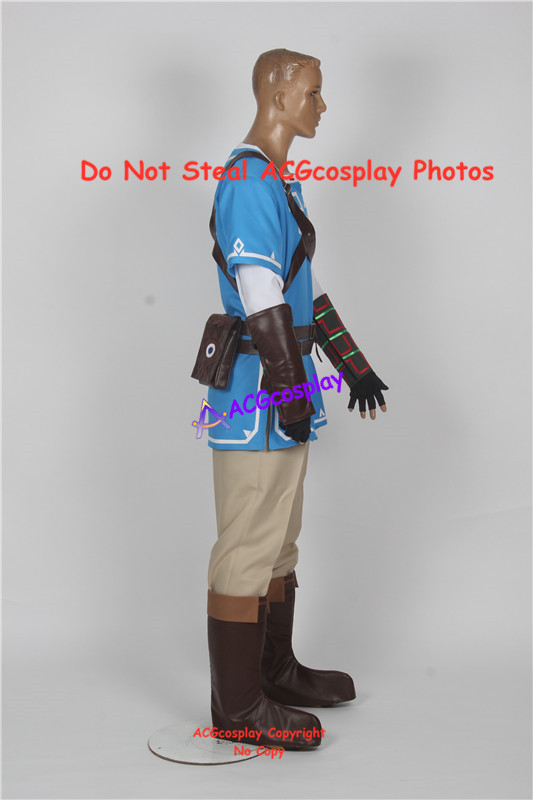 Wild Link Cosplay Costume acgc - đánh giá và giá Anime Cosplay Link